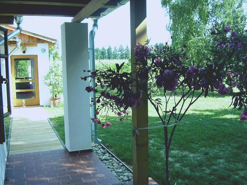 Martonvendeghaz 1 Villa Gelse Eksteriør bilde